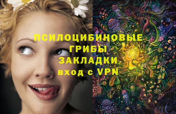 тгк Верея